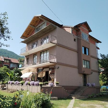 Guest House Dimitrije Niska Banja Extérieur photo