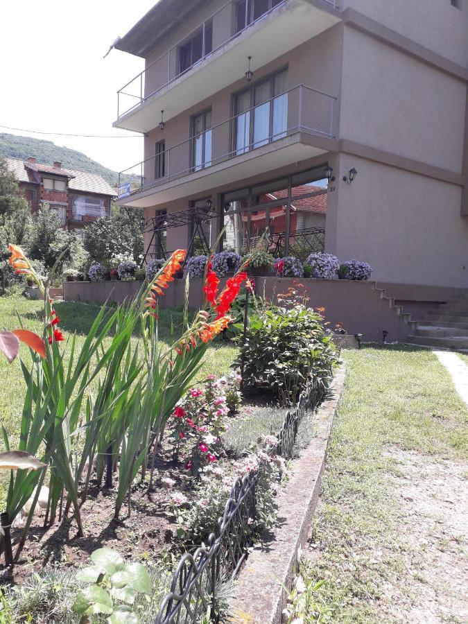 Guest House Dimitrije Niska Banja Extérieur photo
