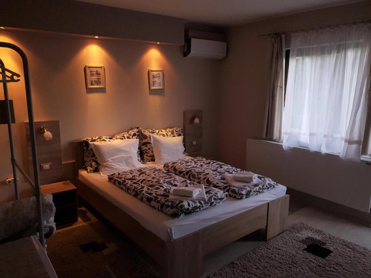 Guest House Dimitrije Niska Banja Extérieur photo