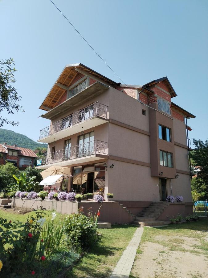 Guest House Dimitrije Niska Banja Extérieur photo