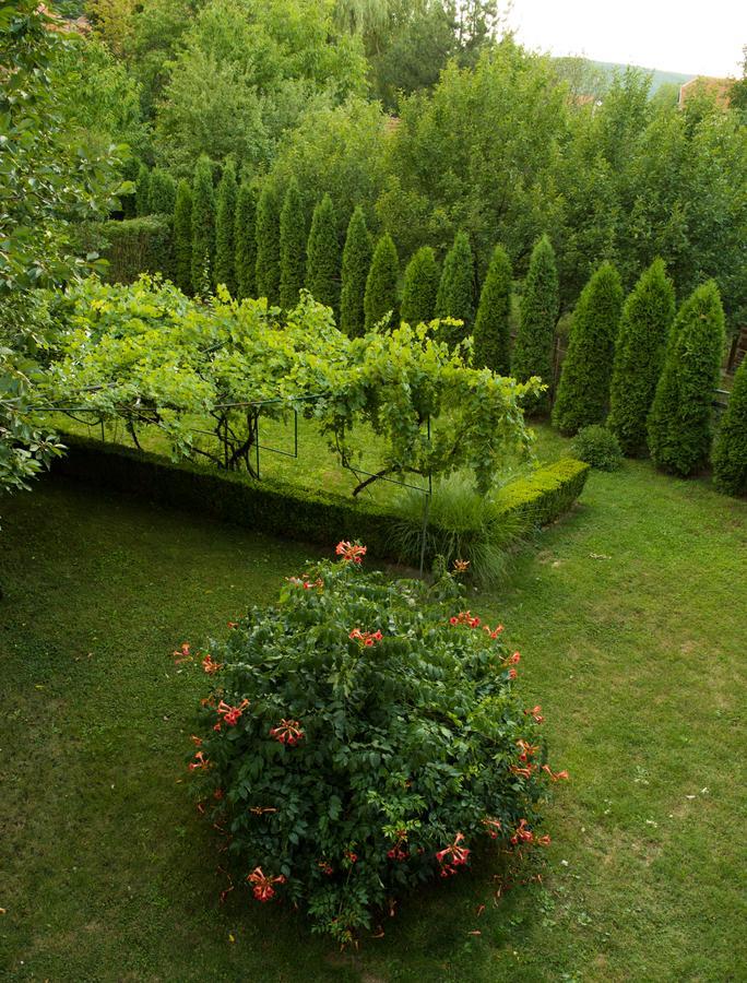 Guest House Dimitrije Niska Banja Extérieur photo
