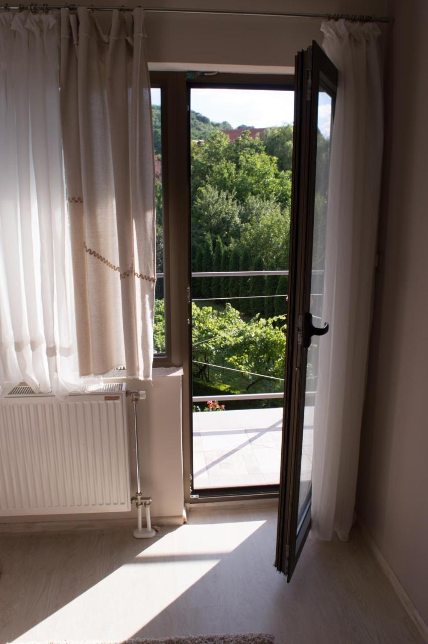 Guest House Dimitrije Niska Banja Extérieur photo